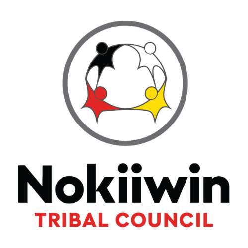 nokiiwin-logo-pic